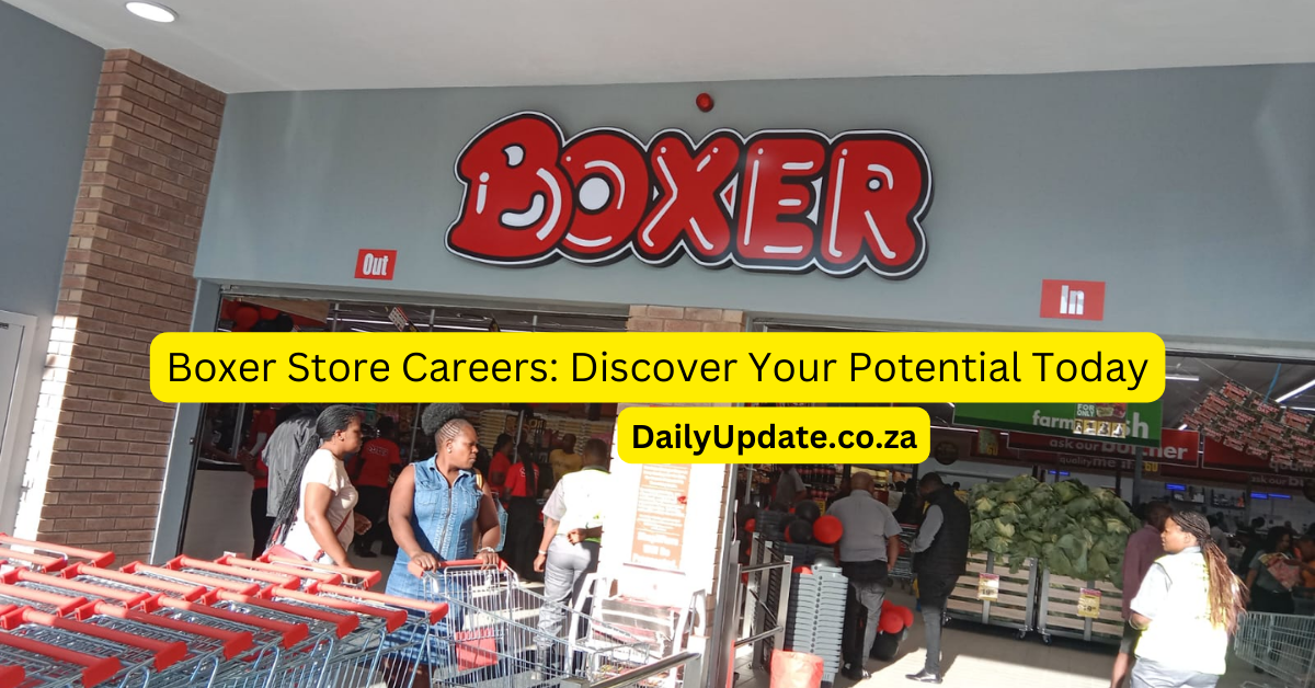 Boxer Store Careers: Discover Your Potential Today