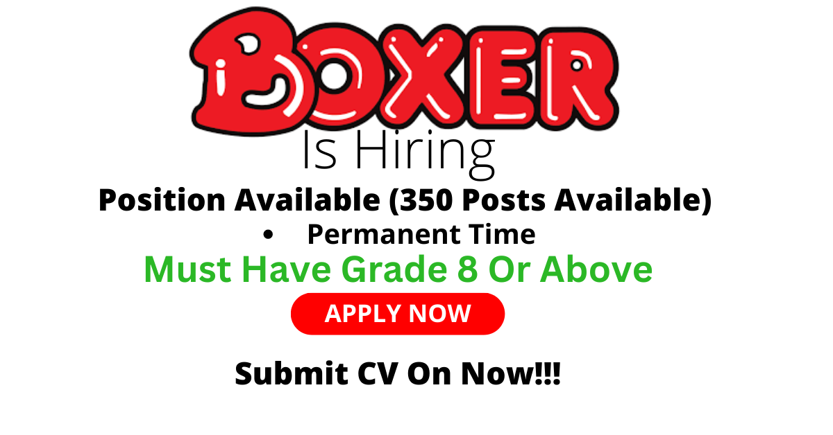 Join Our Team at Boxer Store: Exciting Opportunities Available