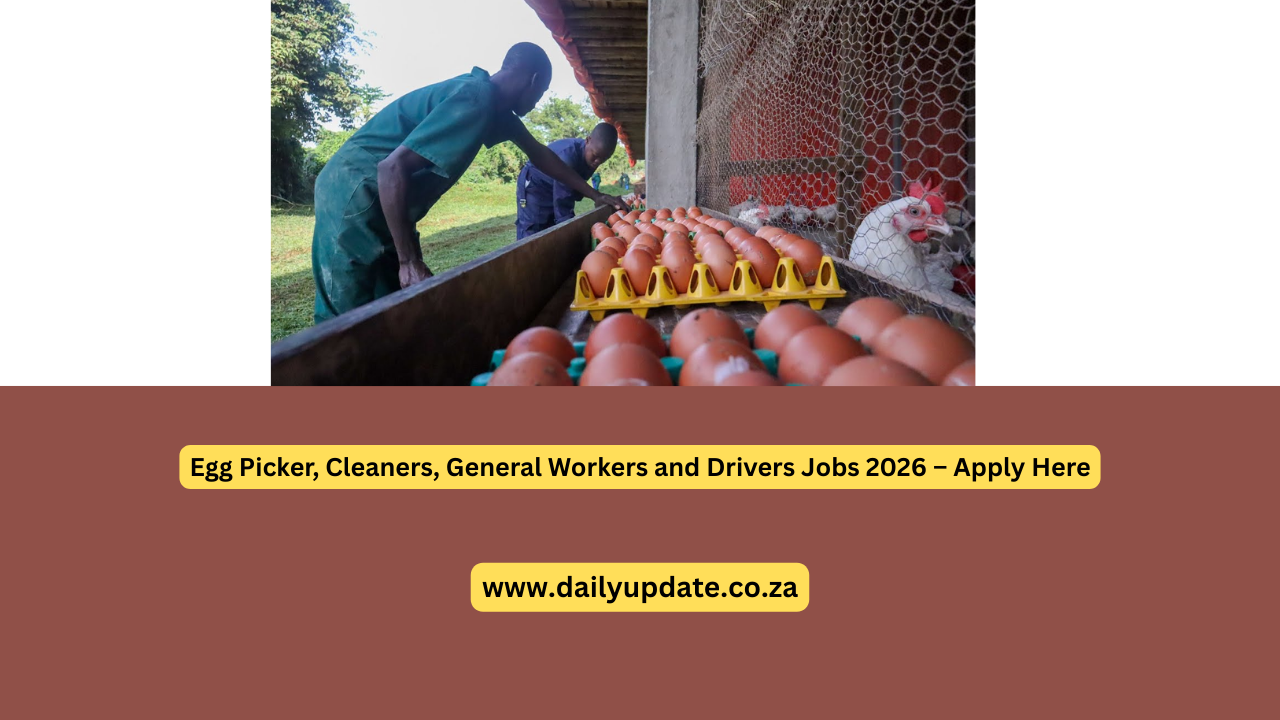 Egg Picker, Cleaners, General Workers and Drivers Jobs 2026 – Apply Here