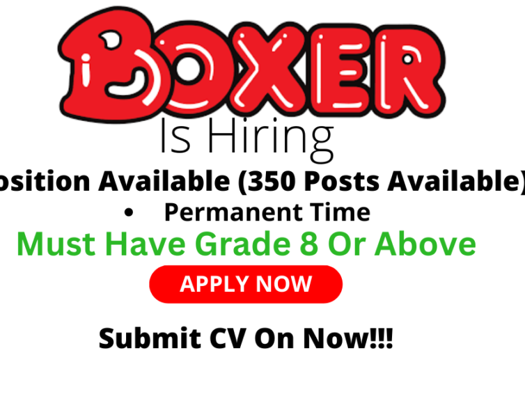 Join Our Team at Boxer Store: Exciting Opportunities Available